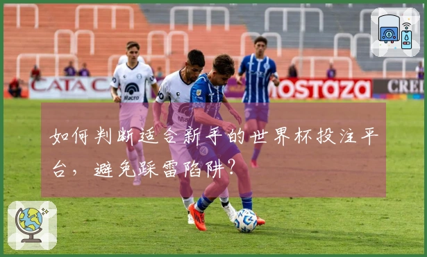 如何判断适合新手的世界杯投注平台，避免踩雷陷阱？