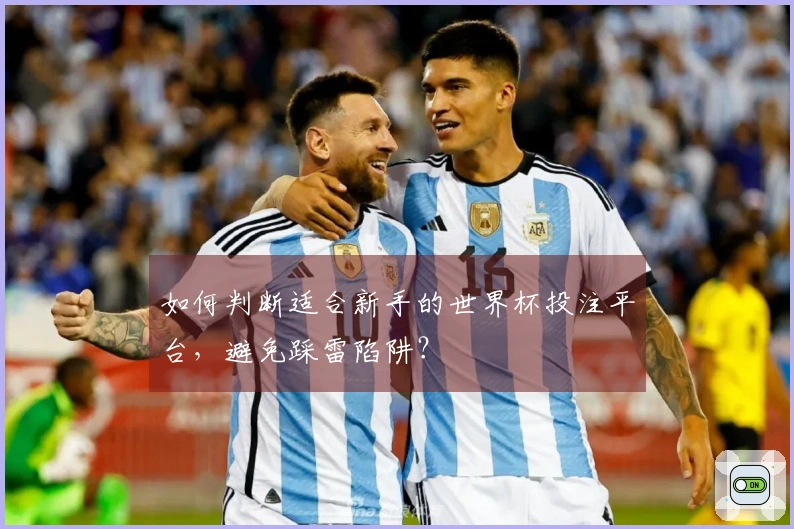 如何判断适合新手的世界杯投注平台，避免踩雷陷阱？