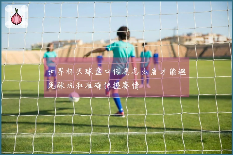 多多28体育资讯图片