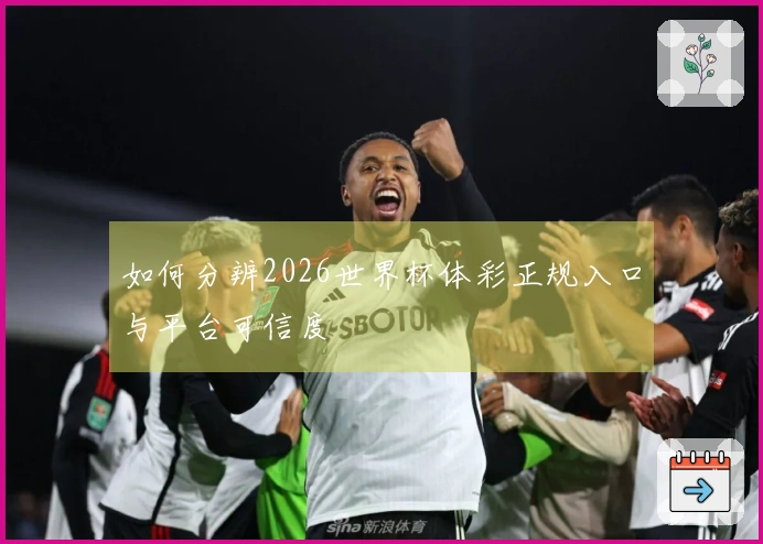 如何分辨2026世界杯体彩正规入口与平台可信度